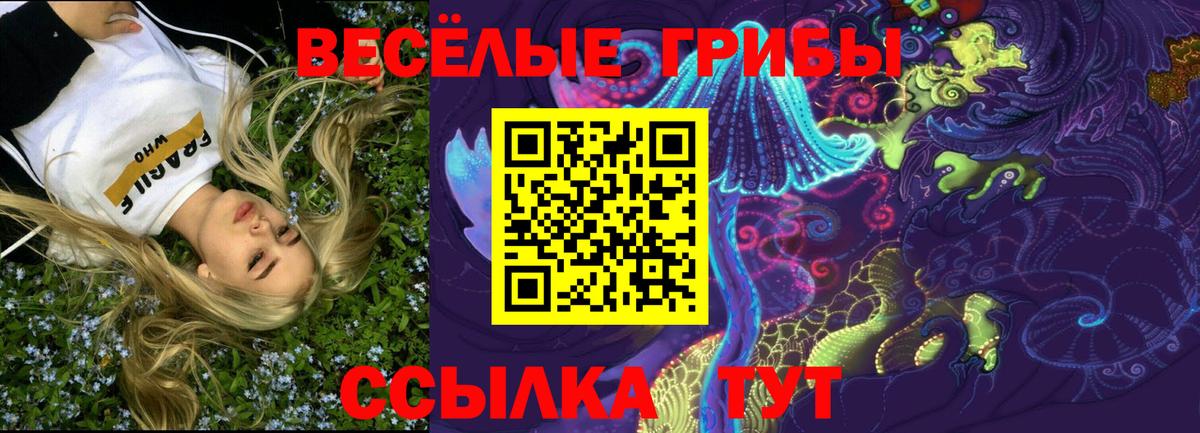 Галлюциногенные грибы мицелий Луховицы