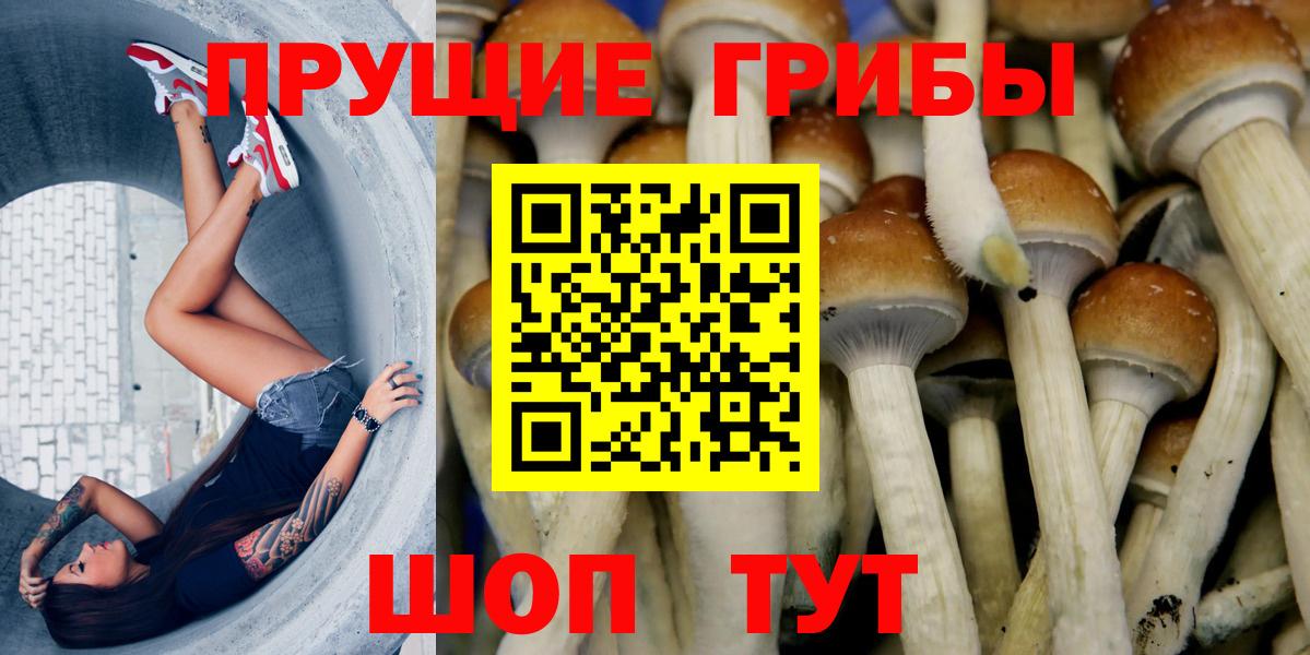 Луховицы  Псилоцибиновые грибы прущие грибы  Псилоцибиновые грибы Cubensis  Вход с VPN 
